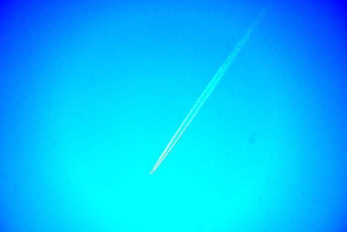 DSC_4789.JPG