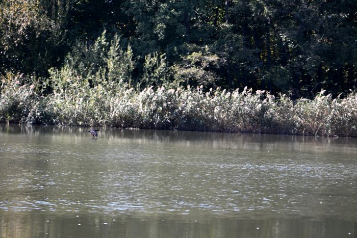 DSC_4820.JPG