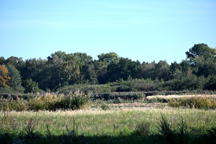 DSC_4845.JPG