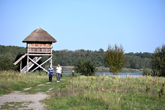 DSC_4847.JPG