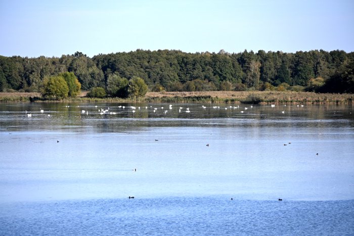DSC_4852.JPG